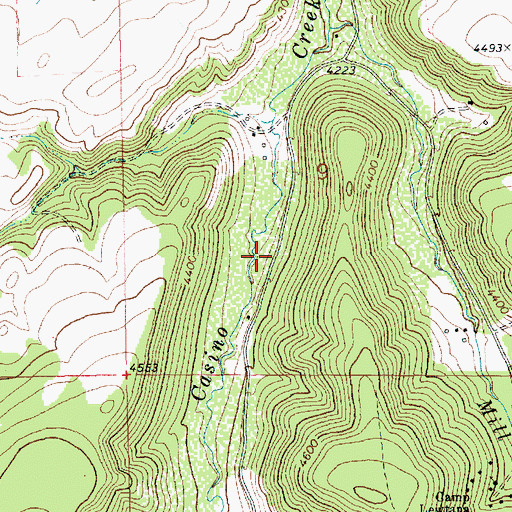 Topographic Map of Watson (historical), MT