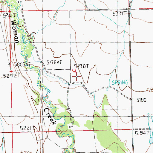 Topographic Map of Irene School (historical), MT
