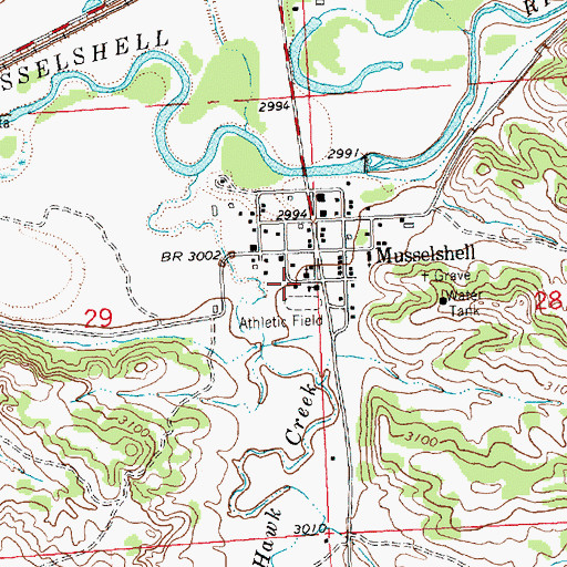 Topographic Map of Hawk Creek Volunteer Fire Department, MT