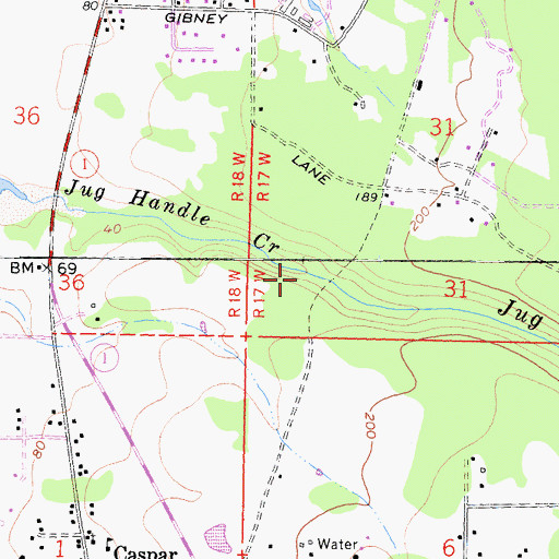 Topographic Map of Jug Handle State Natural Reserve, CA