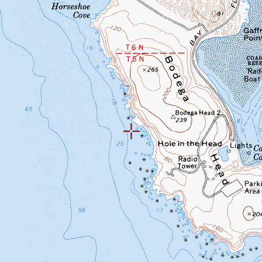 Topographic Map of Bodega Marine Reserve, CA