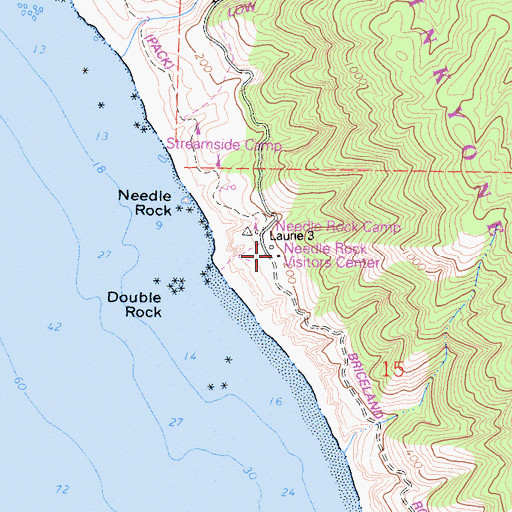 Topographic Map of Needle Rock Ranch (historical), CA
