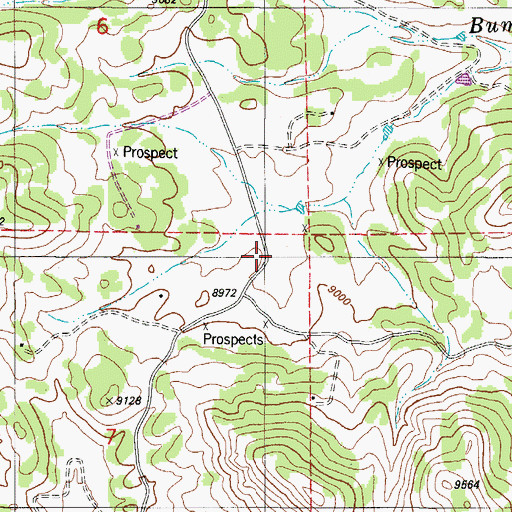 Topographic Map of Rose Dawn Mine, CO