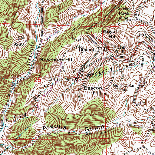 Topographic Map of August Flower Mine, CO