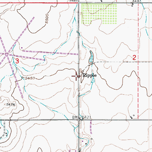 Topographic Map of Ripple, CO