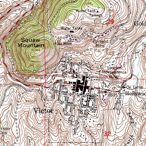 Topographic Map of Gold Coin Mine, CO
