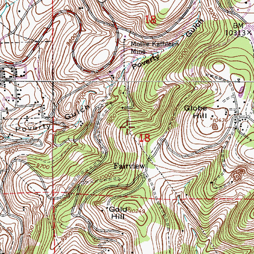 Topographic Map of Gold Pass Mine, CO