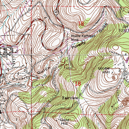 Topographic Map of Golden Globe Mine, CO