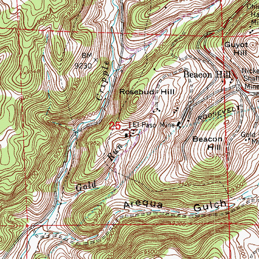 Topographic Map of Mary Nevin Mine, CO