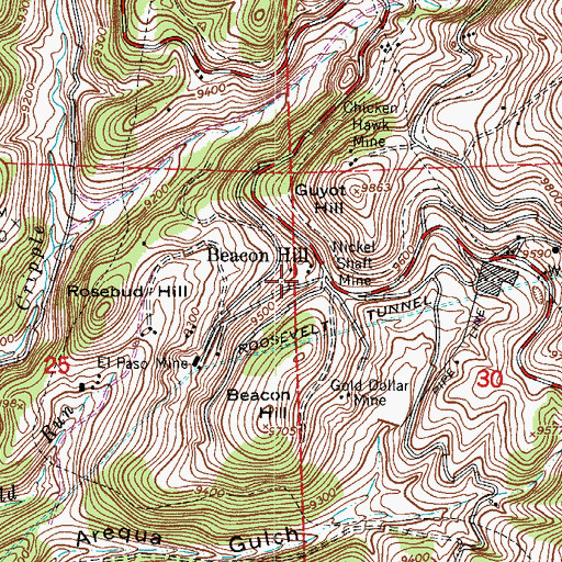 Topographic Map of Monte Cristo Mine, CO