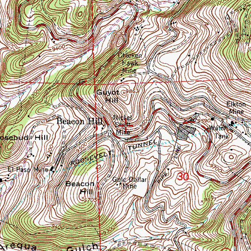 Topographic Map of Narcissus Mine, CO