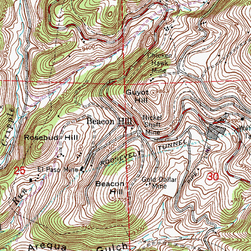 Topographic Map of Nicholls Mine, CO