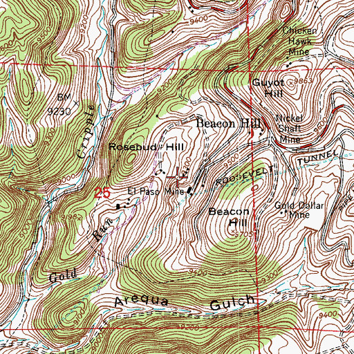 Topographic Map of Raaler Mine, CO