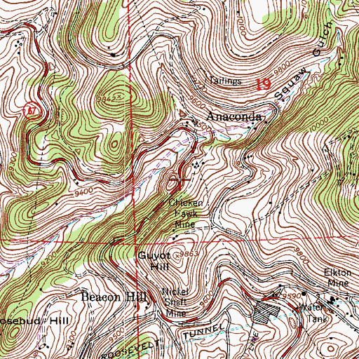 Topographic Map of Thomas and Gaffney Mine, CO