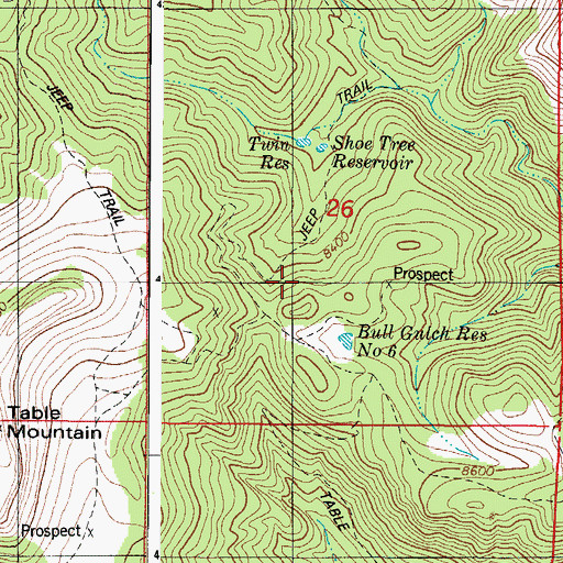 Topographic Map of Bull Ridge Mine, CO