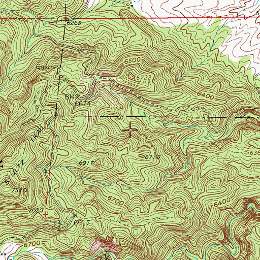 Topographic Map of Bentley Pegmatite Mine, CO