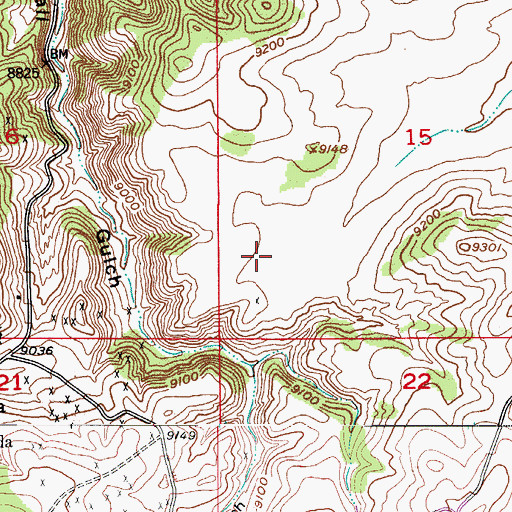 Topographic Map of Nightingale Claim, CO