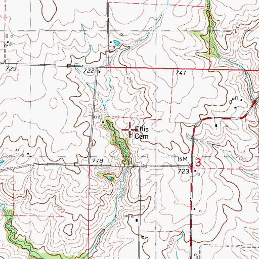 Topographic Map of Ellis Cemetery, IL