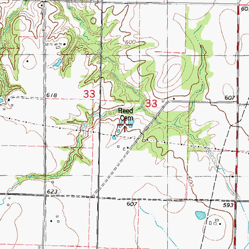 Topographic Map of Reed Cemetery, IL