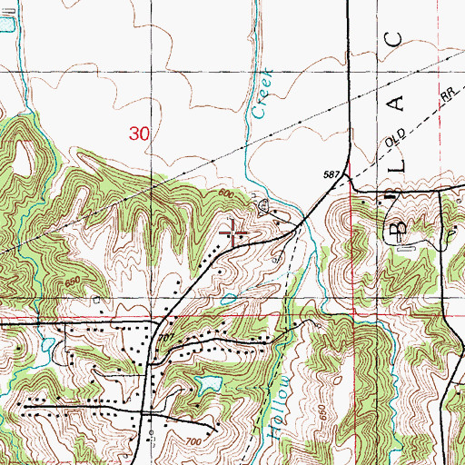 Topographic Map of Army Ridge Bluffs, IL