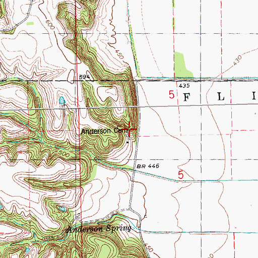 Topographic Map of Anderson Cemetery, IL