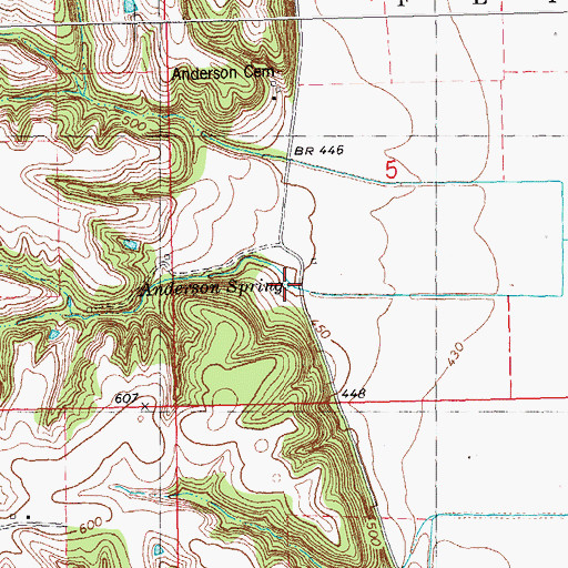 Topographic Map of Anderson Spring, IL