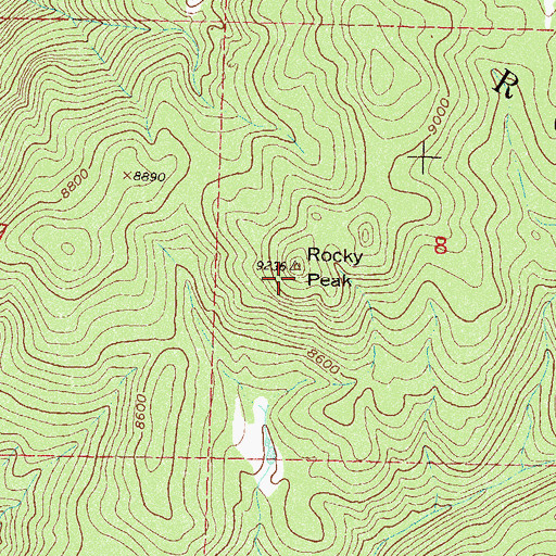 Topographic Map of Rocky Peak, CO