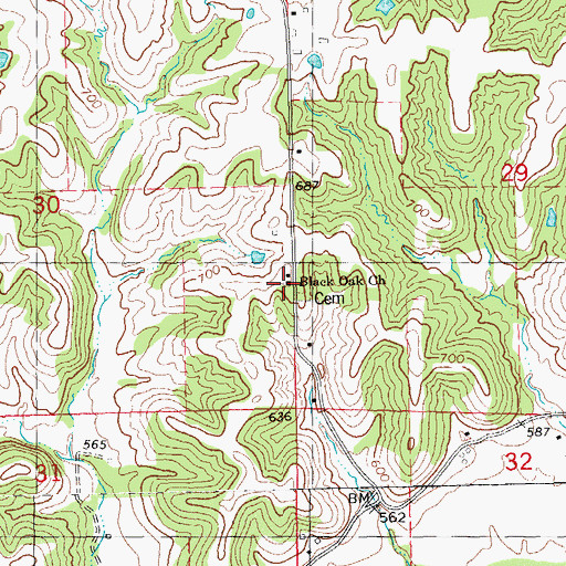 Topographic Map of Black Oak Church, IL