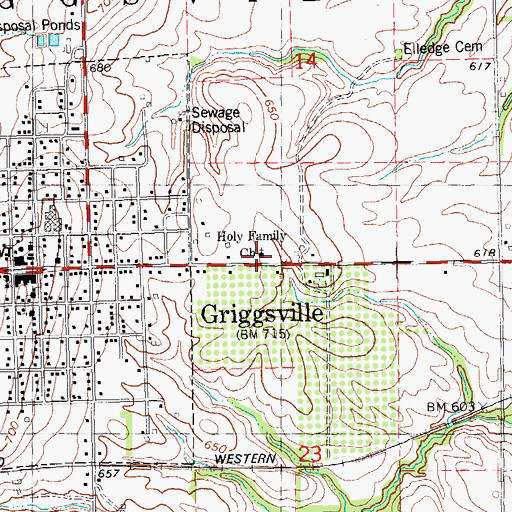 Topographic Map of Holy Family Church, IL