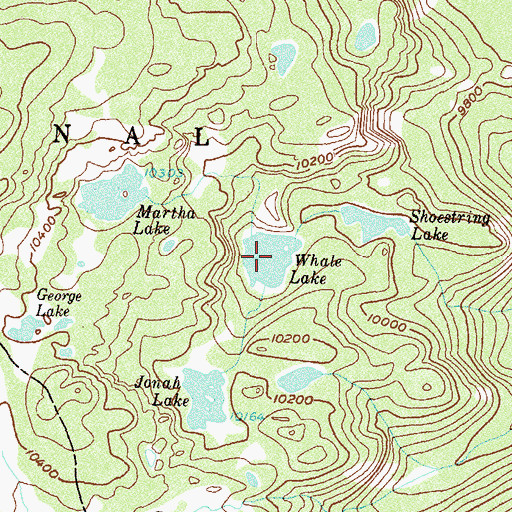Topographic Map of Whale Lake, CO