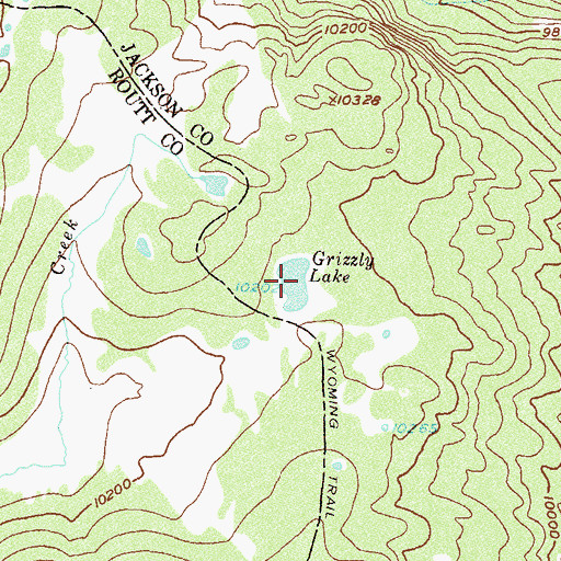 Topographic Map of Grizzly Lake, CO