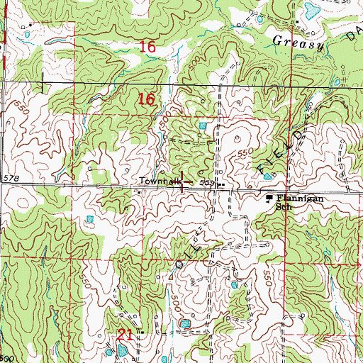Topographic Map of Flannigan Townhall, IL