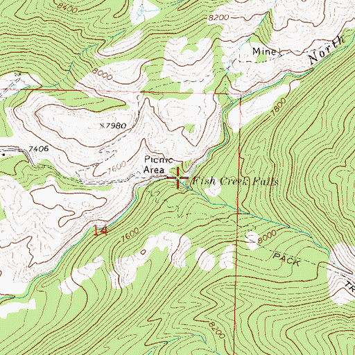 Topographic Map of North Fork Fish Creek, CO