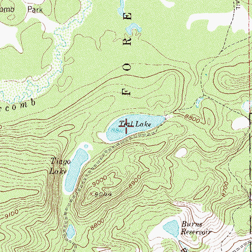 Topographic Map of Teal Lake, CO