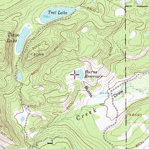 Topographic Map of Burns Reservoir, CO