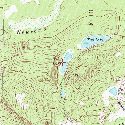 Topographic Map of Tiago Lake, CO