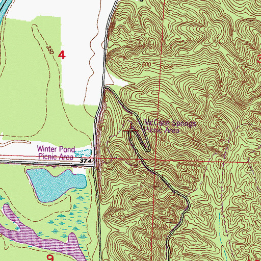 Topographic Map of McCann Springs Picnic Area, IL