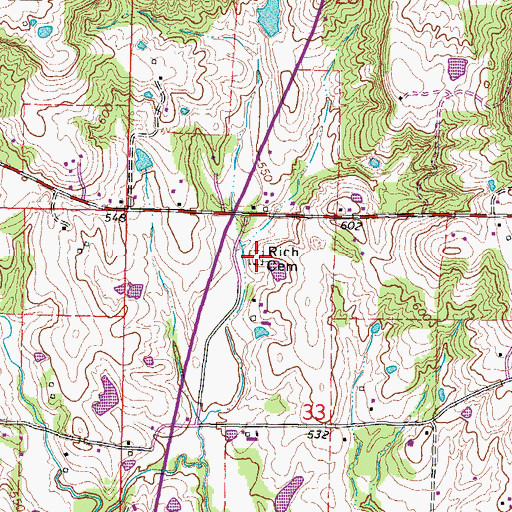 Topographic Map of Rich Cemetery, IL