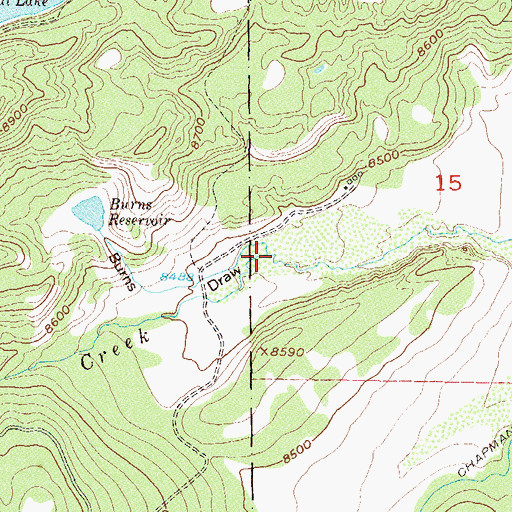 Topographic Map of Burns Draw, CO