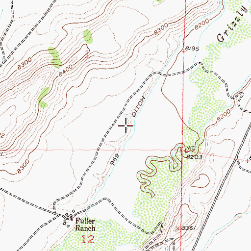 Topographic Map of 969 Ditch, CO
