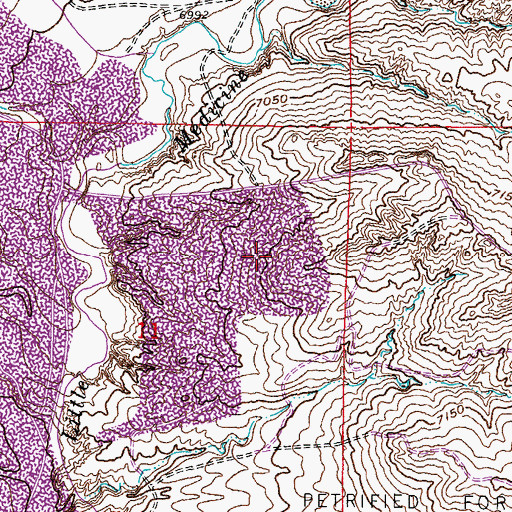 Topographic Map of North Walker Mine, WY