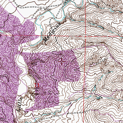 Topographic Map of Martha Claims, WY