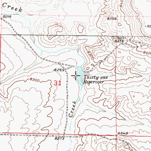 Topographic Map of Thirty One Reservoir, CO