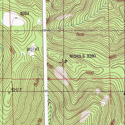 Topographic Map of Nichols Peak, MT