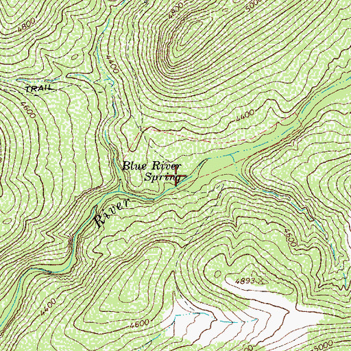 Topographic Map of Blue River Spring, AZ
