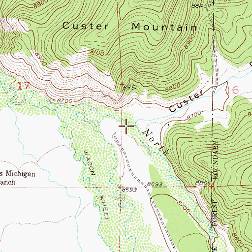 Topographic Map of Custer Draw, CO