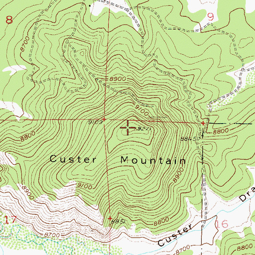 Topographic Map of Custer Mountain, CO