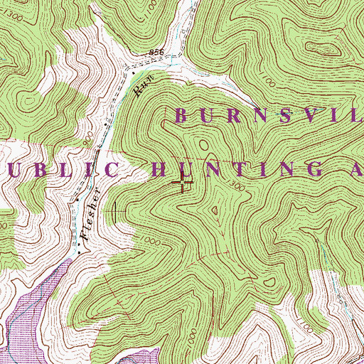 Topographic Map of Burnsville Lake Wildlife Management Area, WV