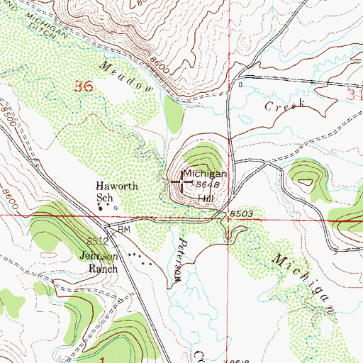 Topographic Map of Michigan Hill, CO
