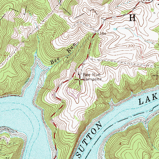Topographic Map of Bee Run Recreation Area, WV